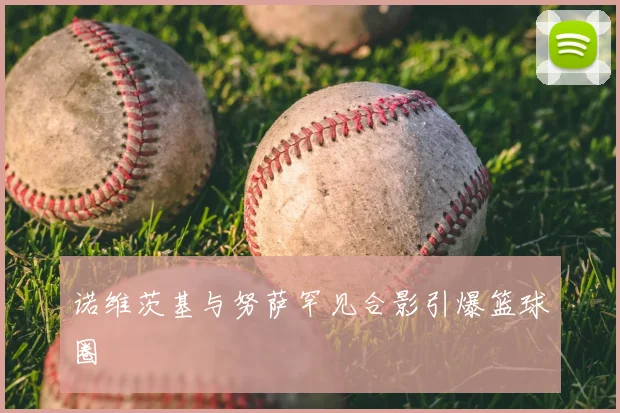 诺维茨基与努萨罕见合影引爆篮球圈